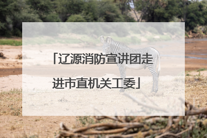 辽源消防宣讲团走进市直机关工委