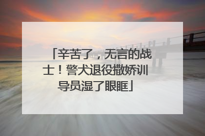 辛苦了，无言的战士！警犬退役撒娇训导员湿了眼眶