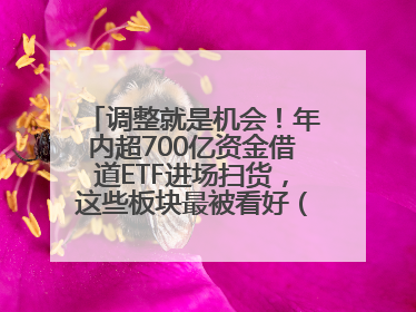 调整就是机会！年内超700亿资金借道ETF进场扫货，这些板块最被看好（附名单）