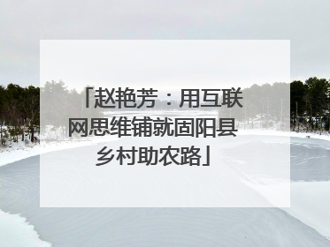 赵艳芳：用互联网思维铺就固阳县乡村助农路