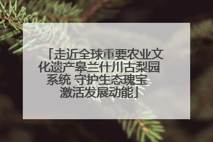走近全球重要农业文化遗产皋兰什川古梨园系统 守护生态瑰宝 激活发展动能