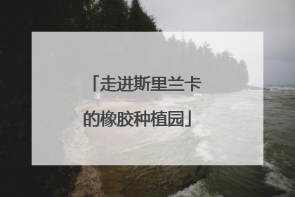 走进斯里兰卡的橡胶种植园