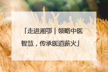 走进湘鄂｜领略中医智慧，传承医道薪火