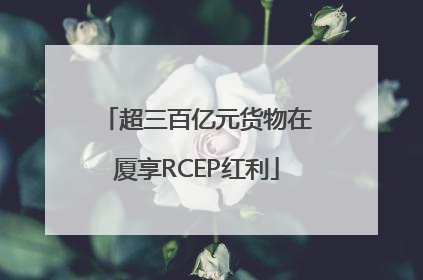 超三百亿元货物在厦享RCEP红利