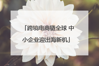 跨境电商链全球 中小企业迎出海新机
