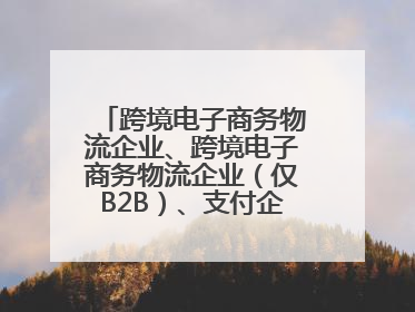 跨境电子商务物流企业、跨境电子商务物流企业（仅B2B）、支付企业备案操作指南