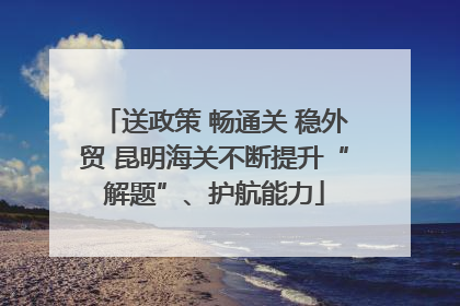 送政策 畅通关 稳外贸 昆明海关不断提升“解题”、护航能力