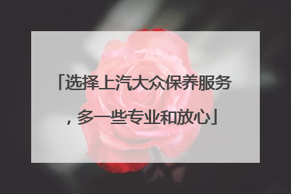 选择上汽大众保养服务，多一些专业和放心