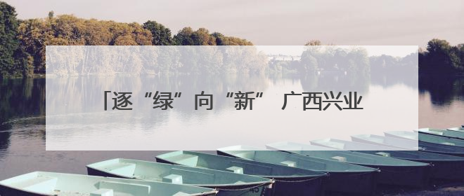 逐“绿”向“新” 广西兴业加速建设百亿绿色钙产业集群