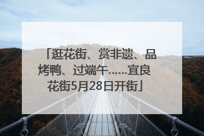 逛花街、赏非遗、品烤鸭、过端午……宜良花街5月28日开街