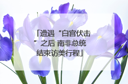 遭遇“白宫伏击”之后 南非总统结束访美行程