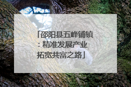 邵阳县五峰铺镇：精准发展产业 拓宽共富之路