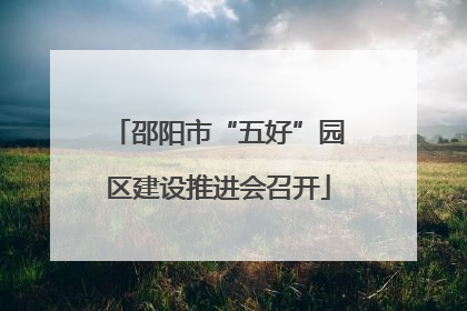 邵阳市“五好”园区建设推进会召开