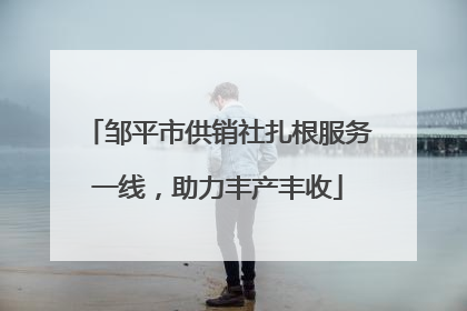 邹平市供销社扎根服务一线，助力丰产丰收