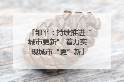 邹平：持续推进“城市更新” 着力实现城市“更”新