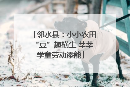 邻水县：小小农田“豆”趣横生 莘莘学童劳动添能