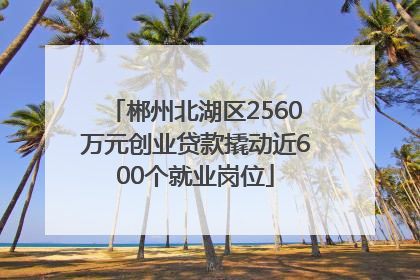 郴州北湖区2560万元创业贷款撬动近600个就业岗位