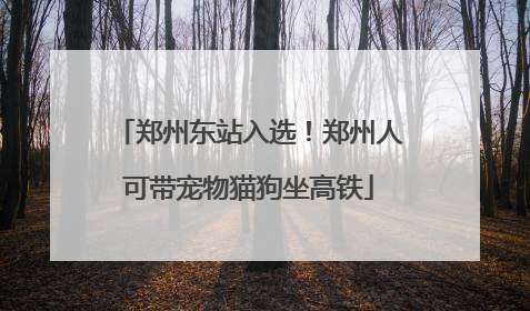 郑州东站入选！郑州人可带宠物猫狗坐高铁