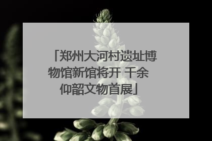 郑州大河村遗址博物馆新馆将开 千余仰韶文物首展