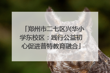 郑州市二七区兴华小学东校区：践行公益初心促进普特教育融合