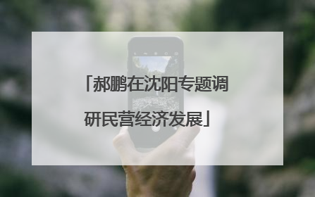 郝鹏在沈阳专题调研民营经济发展