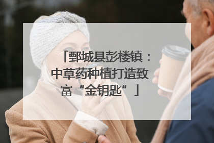 鄄城县彭楼镇：中草药种植打造致富“金钥匙”