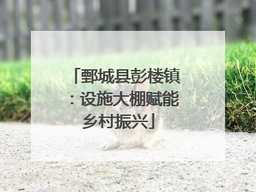 鄄城县彭楼镇：设施大棚赋能乡村振兴