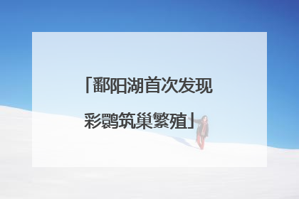 鄱阳湖首次发现彩鹮筑巢繁殖