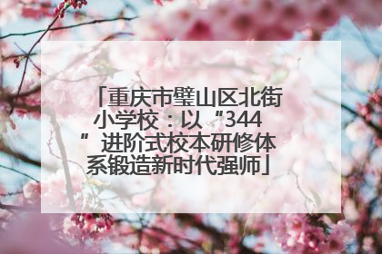 重庆市璧山区北街小学校：以“344”进阶式校本研修体系锻造新时代强师