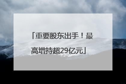 重要股东出手！最高增持超29亿元