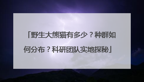 野生大熊猫有多少？种群如何分布？科研团队实地探秘