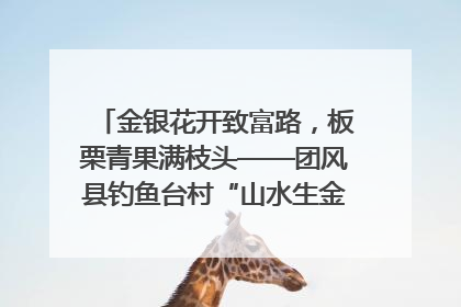 金银花开致富路，板栗青果满枝头——团风县钓鱼台村“山水生金”谱写共富新篇章