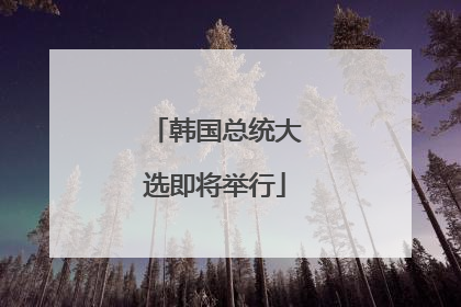 韩国总统大选即将举行