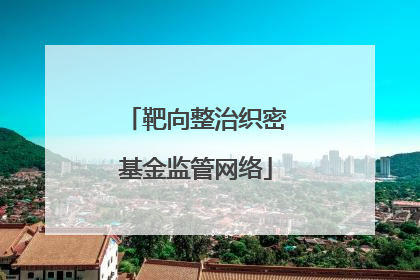 靶向整治织密基金监管网络