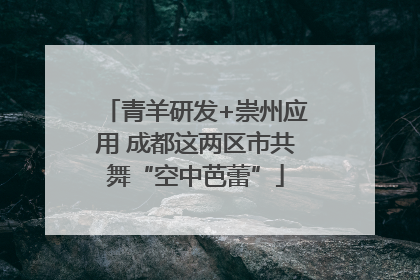 青羊研发+崇州应用 成都这两区市共舞“空中芭蕾”