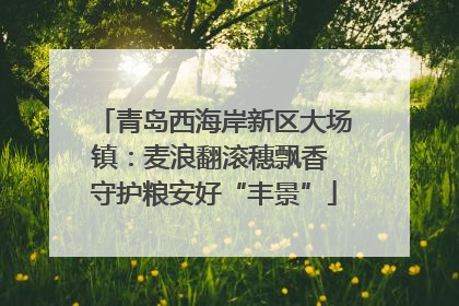 青岛西海岸新区大场镇：麦浪翻滚穗飘香 守护粮安好“丰景”