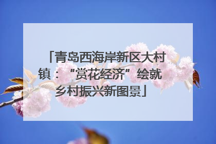 青岛西海岸新区大村镇：“赏花经济”绘就乡村振兴新图景