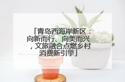 青岛西海岸新区：向新而行、向美而兴，文旅融合点燃乡村消费新引擎