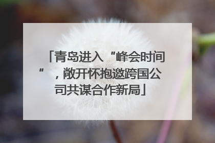 青岛进入“峰会时间”，敞开怀抱邀跨国公司共谋合作新局
