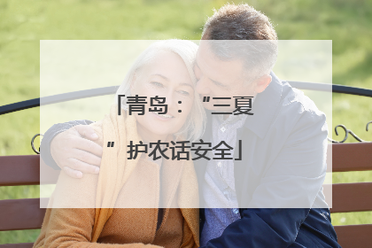 青岛：“三夏”护农话安全