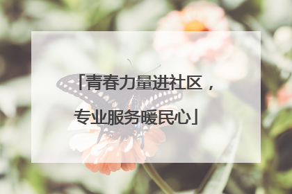 青春力量进社区，专业服务暖民心
