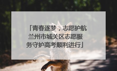 青春逐梦，志愿护航 兰州市城关区志愿服务守护高考顺利进行