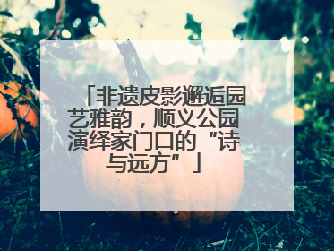 非遗皮影邂逅园艺雅韵，顺义公园演绎家门口的“诗与远方”