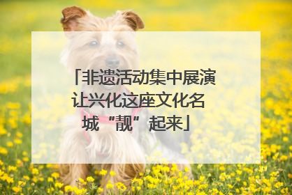 非遗活动集中展演 让兴化这座文化名城“靓”起来