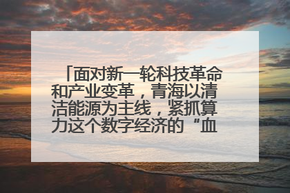 面对新一轮科技革命和产业变革，青海以清洁能源为主线，紧抓算力这个数字经济的“血液”、科技主权的“筹码”、产业升级的“杠杆”、绿色转型的“支点”，勇于撬动国家“双碳”战略、“东数西算”工程重大发展新机遇