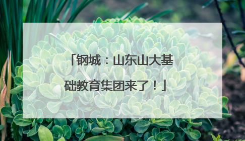 钢城：山东山大基础教育集团来了！