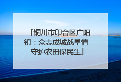 铜川市印台区广阳镇：众志成城战旱情 守护农田保民生