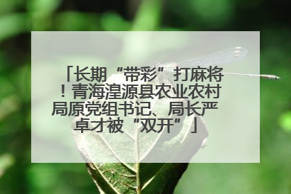 长期“带彩”打麻将！青海湟源县农业农村局原党组书记、局长严卓才被“双开”
