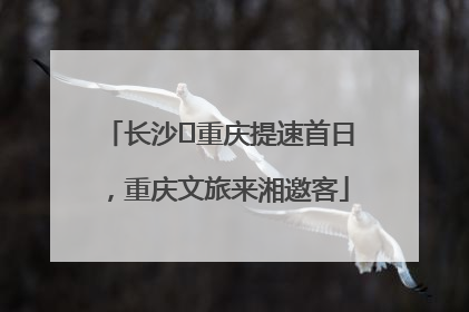长沙⇌重庆提速首日，重庆文旅来湘邀客