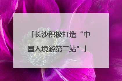 长沙积极打造“中国入境游第二站”